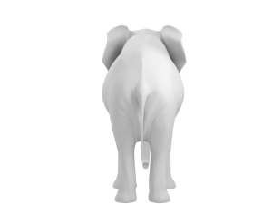 elephant elephant by 3dmasterxd 3D Модель