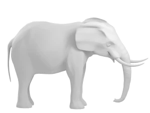 elephant elephant by 3dmasterxd 3D Model