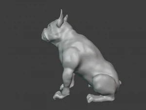 एक प्रकार का कुत्त 3D मॉडल