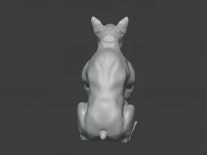 एक प्रकार का कुत्त 3D मॉडल