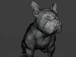 एक प्रकार का कुत्त 3D मॉडल