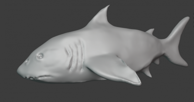 shark Modelo 3D .c4d .max .obj .3ds .fbx .stl .blend 