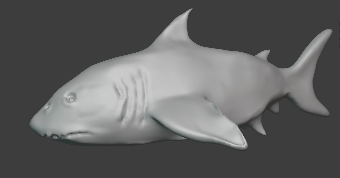 shark 3D Model .c4d .max .obj .3ds .fbx .stl .blend 