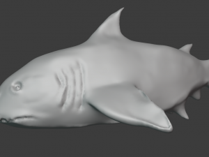 shark 3D 模型