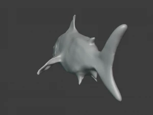 shark 3D Model