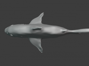 shark Modelo 3D