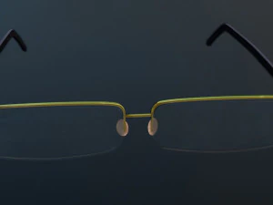 spectacles 3D Model