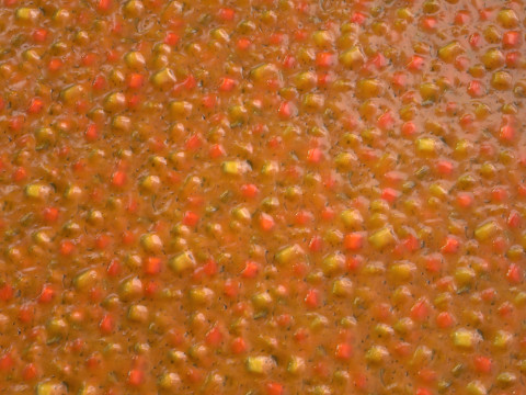 Zupa PBR Tekstura CG Tekstury