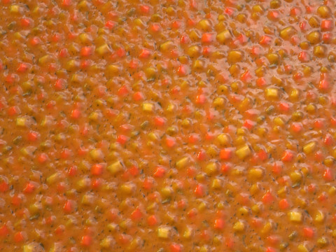 Zupa PBR Tekstura CG Tekstury