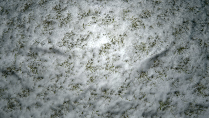 雪に覆われた草の PBR テクスチャ CG テクスチャ .c4d .max .obj .3ds .fbx .stl .blend 