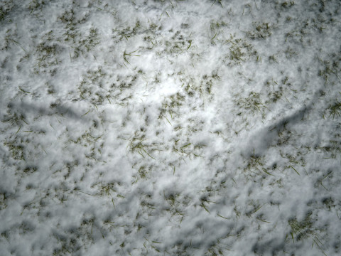 PBR текстура снежной травы CG Текстуры