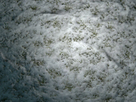 Snowy Grass PBR Texture CG Textures