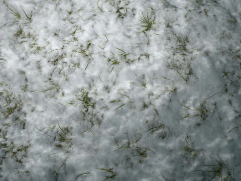 Snowy Grass PBR Texture CG Textures