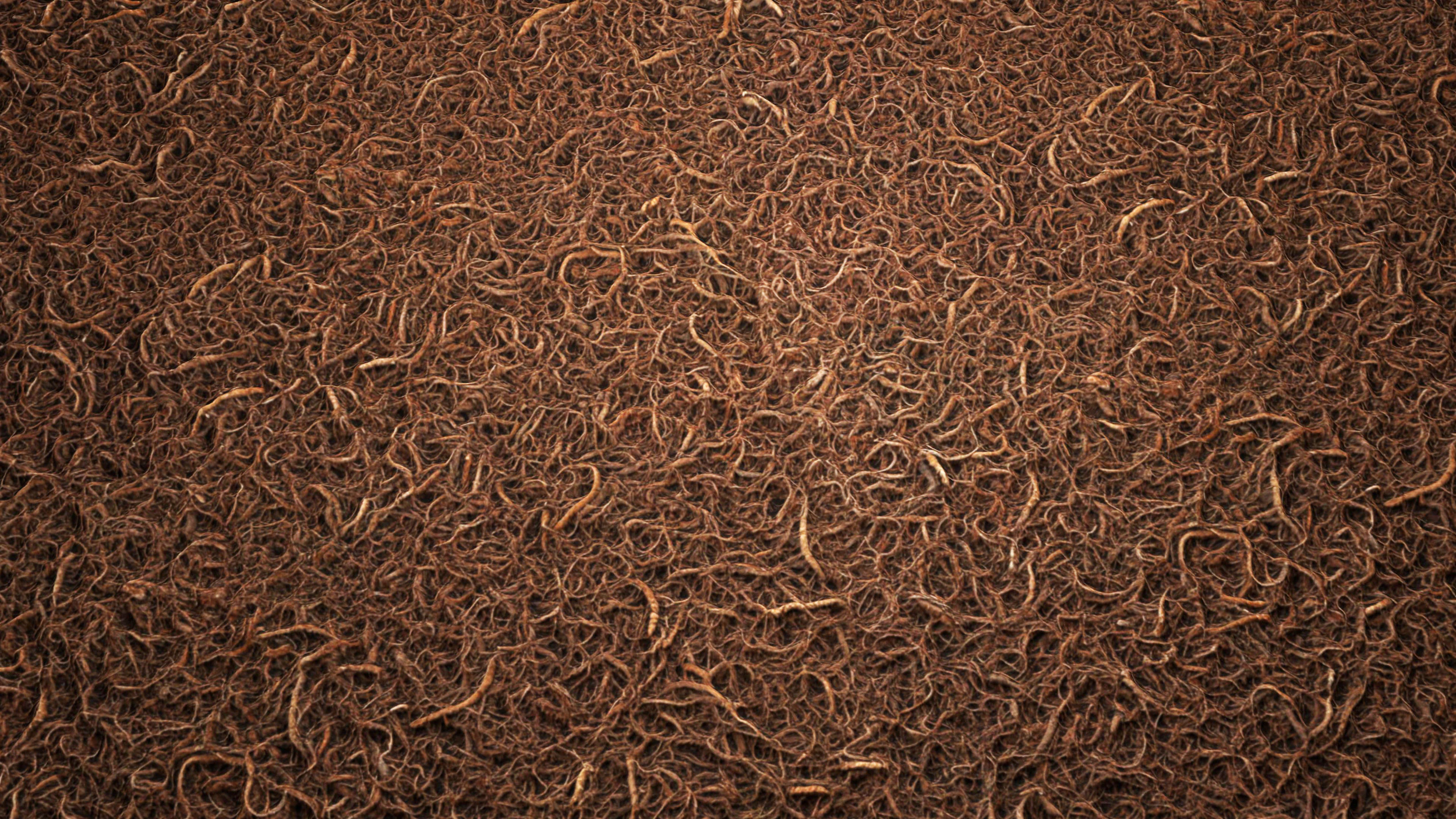 Doormat 8K PBR Texture CG Textures .c4d .max .obj .3ds .fbx .stl .blend 