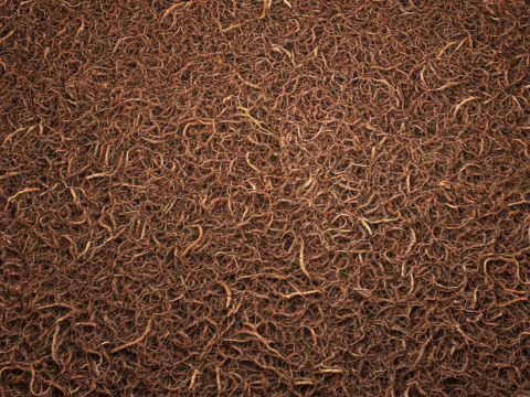 Doormat 8K PBR Texture CG Textures