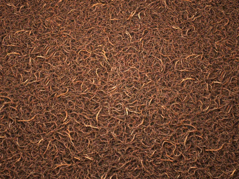 Doormat 8K PBR Texture CG Textures