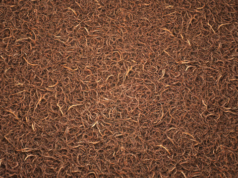 Felpudo Textura PBR 8K Texturas CG