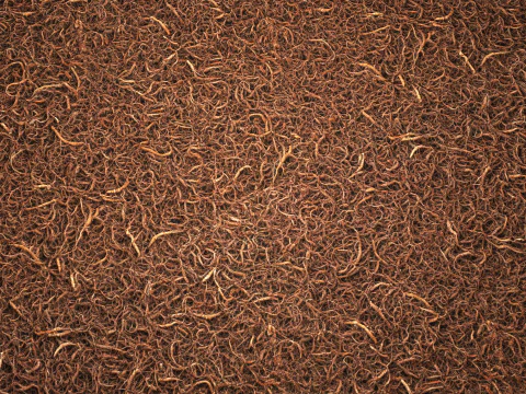 Doormat 8K PBR Texture CG Textures