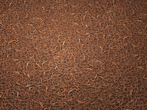 Felpudo Textura PBR 8K Texturas CG