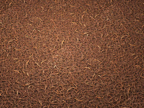 Doormat 8K PBR Texture CG Textures