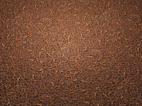 Doormat 8K PBR Texture CG Textures
