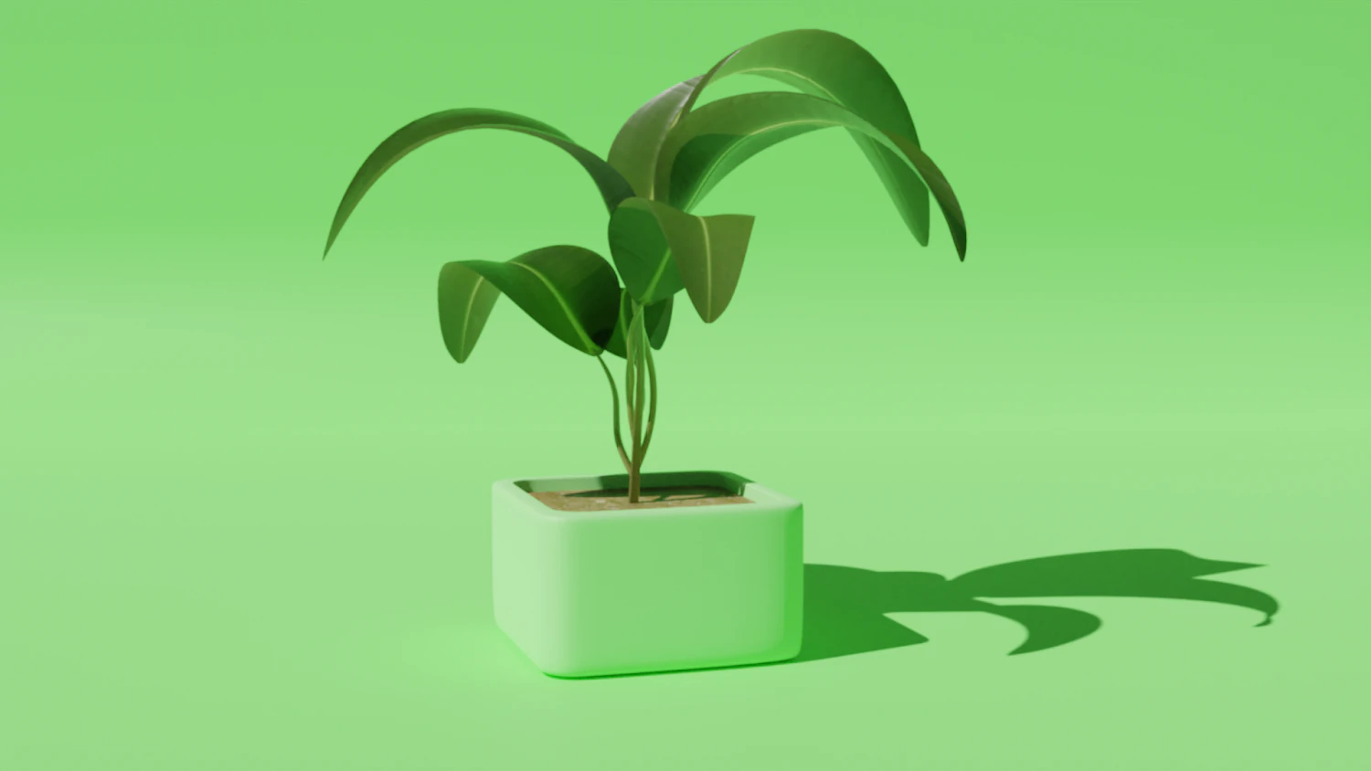plant in a pot 3D Model .c4d .max .obj .3ds .fbx .stl .blend