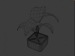 plant in a pot Modelo 3D