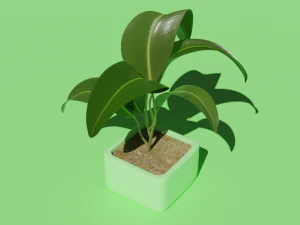 plant in a pot 3D Model