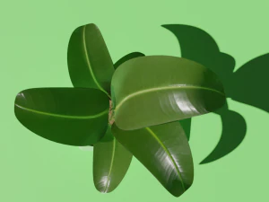 plant in a pot 3D Model