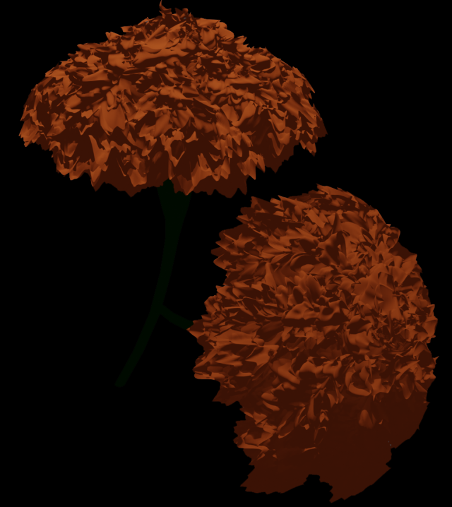 marigold 3Dモデル .c4d .max .obj .3ds .fbx .stl .blend 