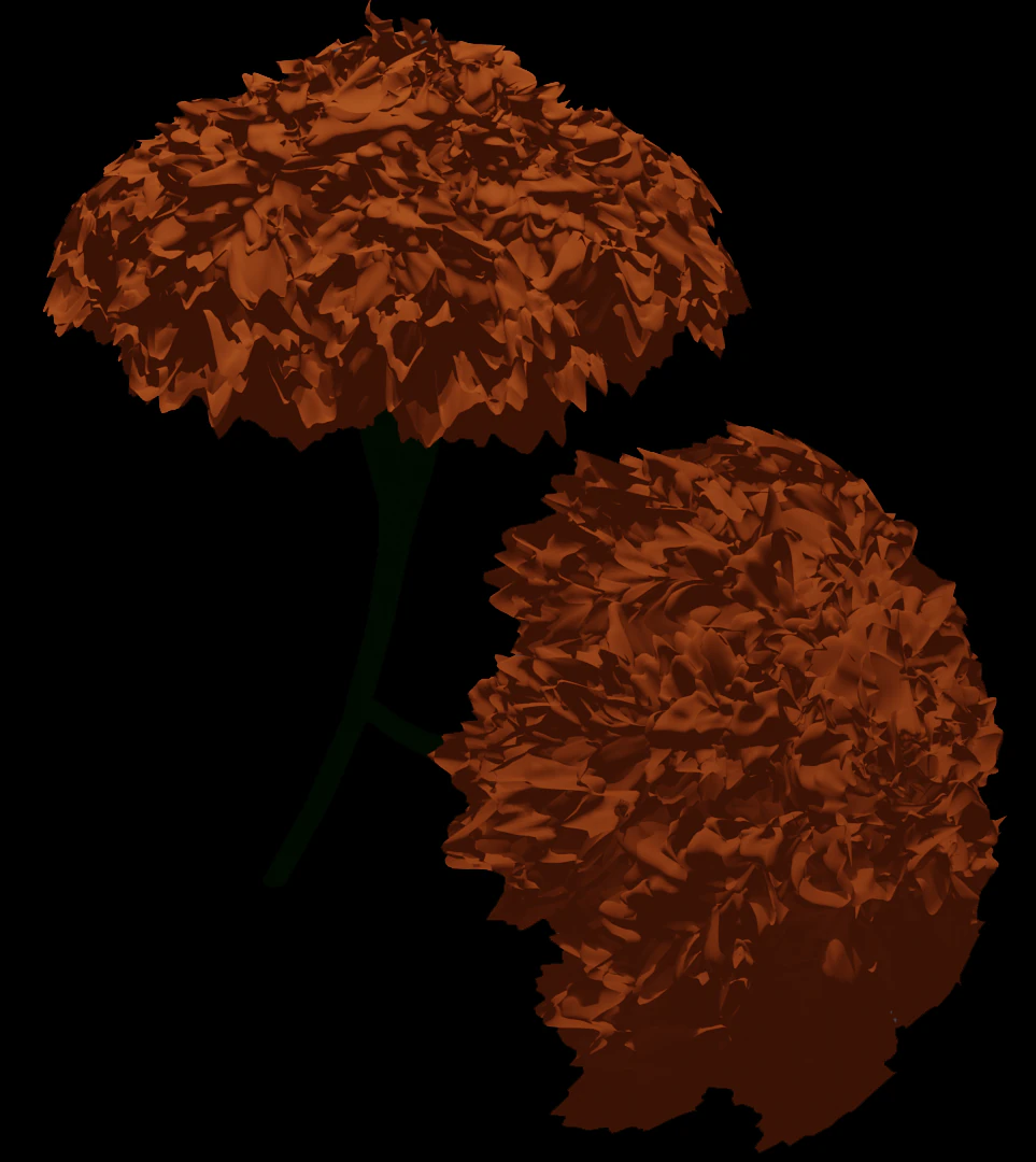 marigold 3D Model .c4d .max .obj .3ds .fbx .stl .blend 