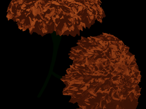 marigold 3D मॉडल