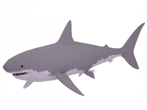 great white shark - game ready 3D Model