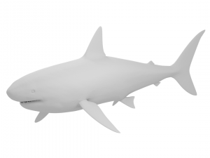 great white shark - game ready Model 3D