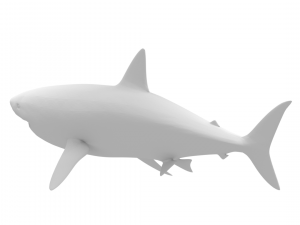 great white shark - game ready Model 3D