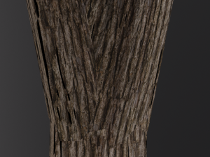 realistic oak medium size Model 3D