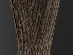 realistic oak medium size 3D Model