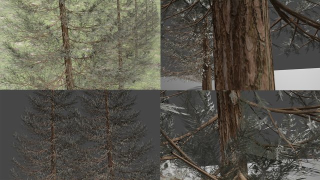set of realistic fir trees Model 3D .c4d .max .obj .3ds .fbx .stl .blend 