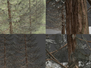 set of realistic fir trees Modelo 3D