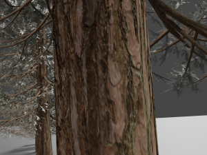 set of realistic fir trees Model 3D