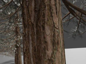 set of realistic fir trees 3D Model