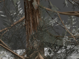 set of realistic fir trees Model 3D