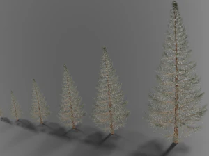 set of realistic fir trees 3D Model