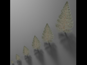 set of realistic fir trees Model 3D