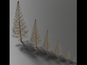 set of realistic fir trees Model 3D