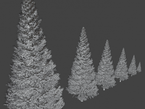 set of realistic fir trees Model 3D