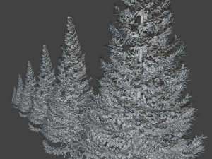 set of realistic fir trees Model 3D