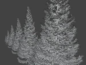 set of realistic fir trees 3D Model