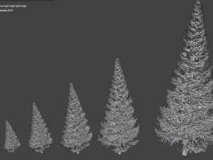 set of realistic fir trees 3D Model