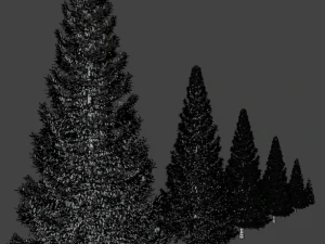 set of realistic fir trees 3D Model